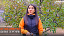 video_poster